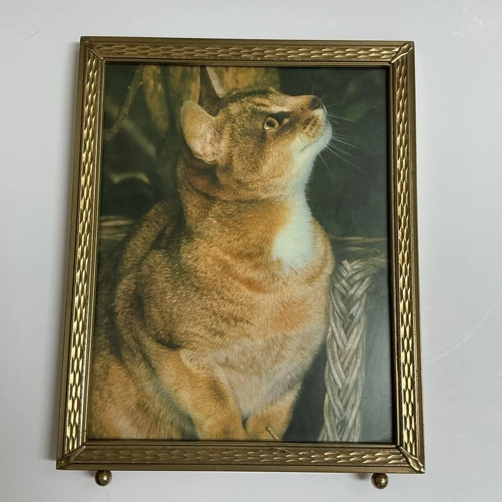 Vintage Gold Metal Picture Frame 8x10 Cat Print Standing Easel Ball Feet 60s MCM